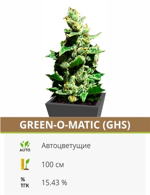 Green-O-Matic