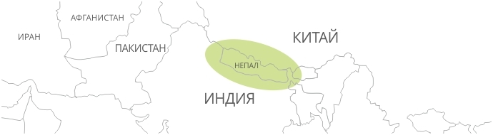 Любимое место обитания конопли