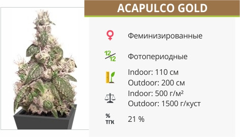 Acapulco Gold от Barney’s Farm