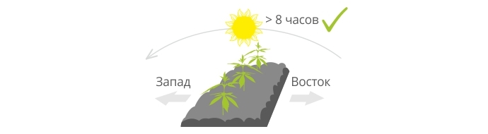 Освещение конопли в аутдоре