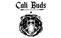 Cali Buds Seeds