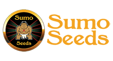 Sumo Seeds