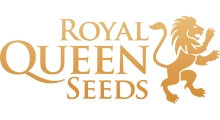 Royal Queen Seeds