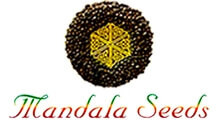 Mandala Seeds