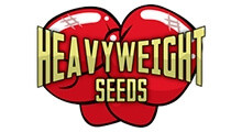 Heavyweight Seeds