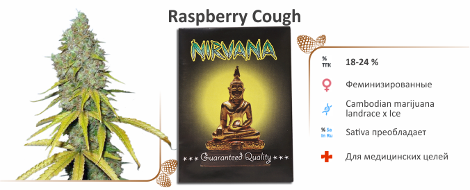 Raspberry Cough