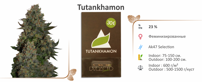 Tutankhamon