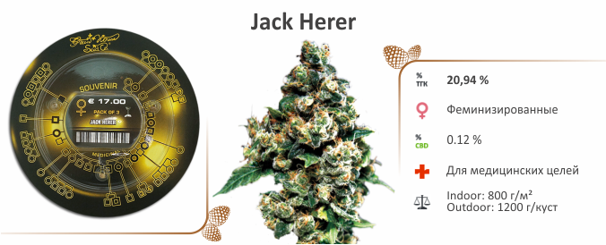 Каннабис Jack Herer 