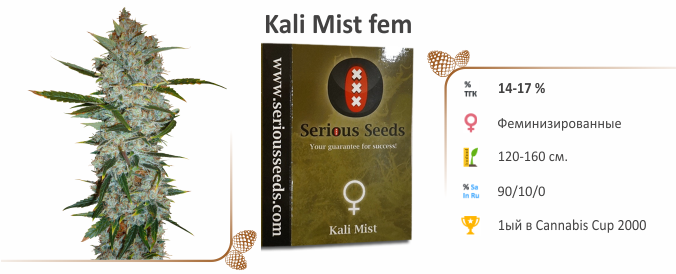 Kali Мist fem