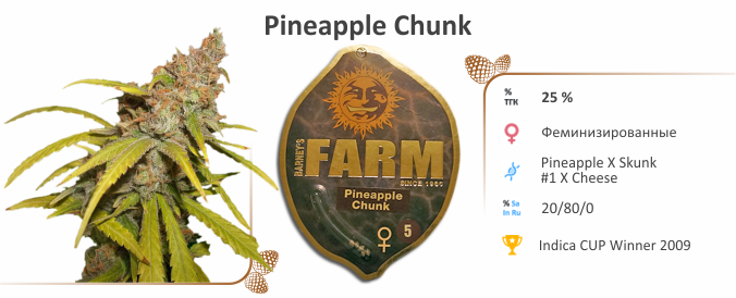 Pineapple Chunk