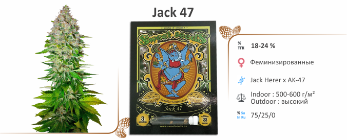 Jack 47