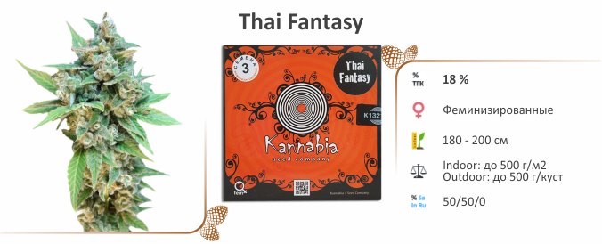 Thai Fantasy